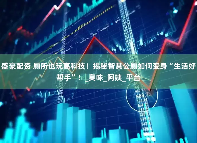 盛豪配资 厕所也玩高科技！揭秘智慧公厕如何变身“生活好帮手”！_臭味_阿姨_平台