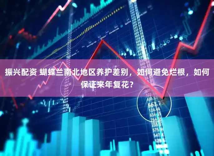 振兴配资 蝴蝶兰南北地区养护差别，如何避免烂根，如何保证来年复花？