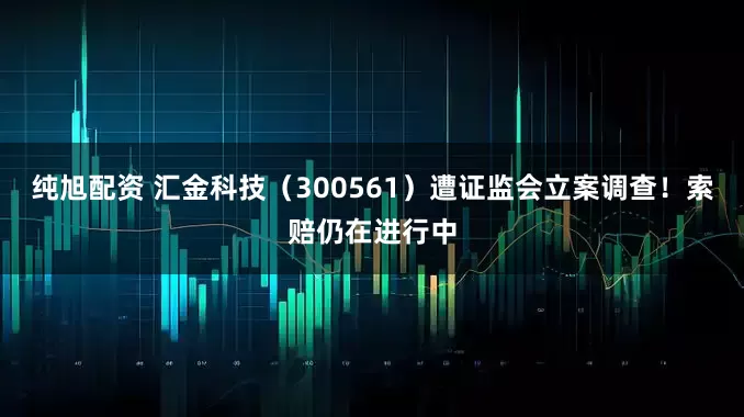 纯旭配资 汇金科技（300561）遭证监会立案调查！索赔仍在进行中