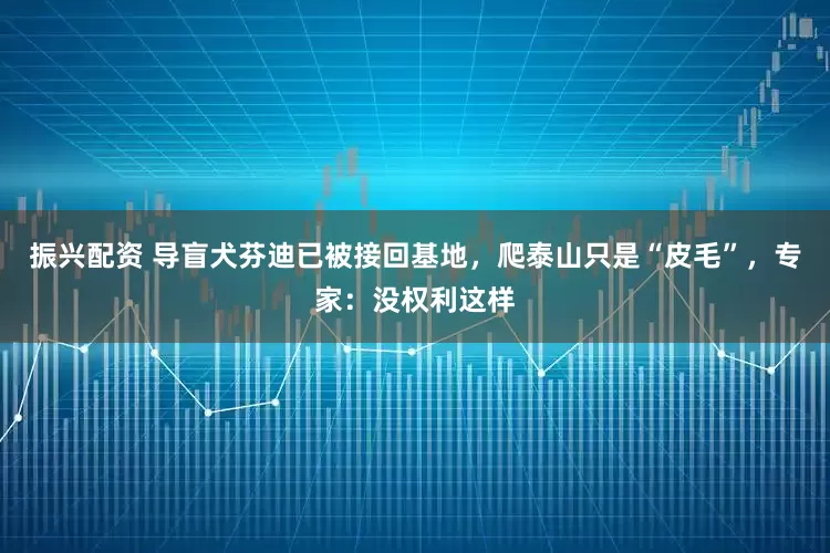 振兴配资 导盲犬芬迪已被接回基地，爬泰山只是“皮毛”，专家：没权利这样