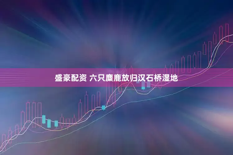 盛豪配资 六只麋鹿放归汉石桥湿地